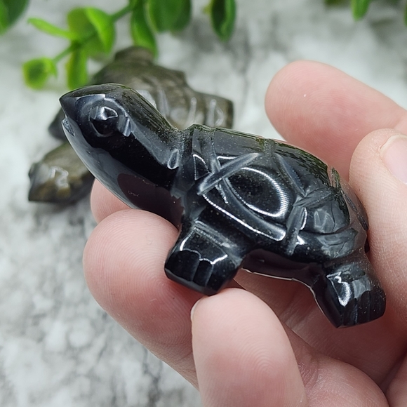 - Mexican Sheen Obsidian Turtle - Picture 3 of 5